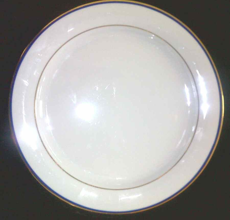 ESC232 Dinner Plate by Eschenbach-1