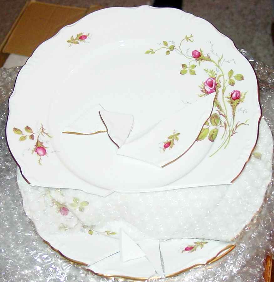 ESC234 Dinner Plate by Eschenbach-1