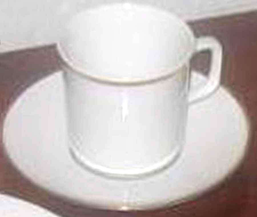 ESC235 Flat Cup & Saucer Set by Eschenbach-1