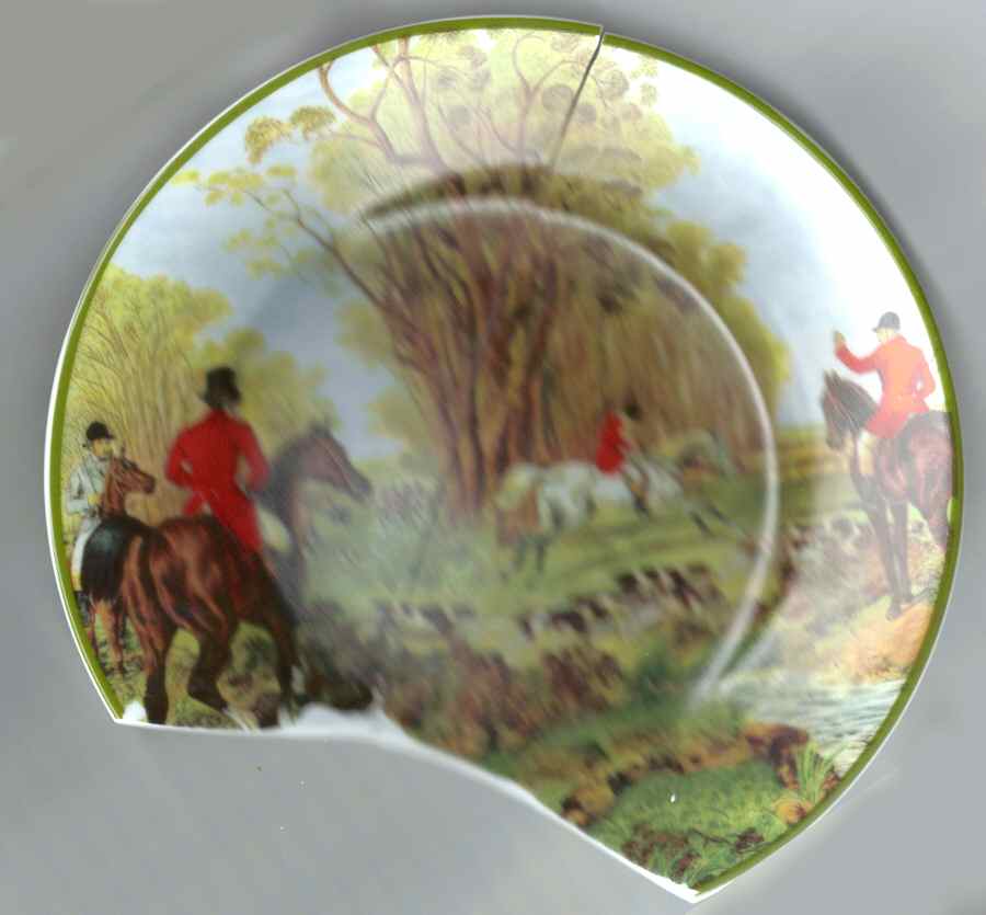EDS41 Dinner Plate by Email de Limoges-1