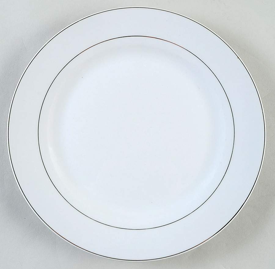 Platinum Band Dinner Plate by Essential Home-1