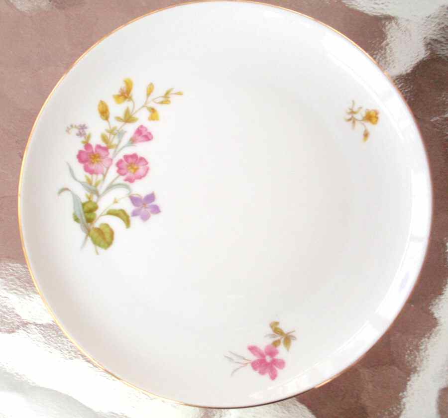 ESC239 Luncheon Plate by Eschenbach-1