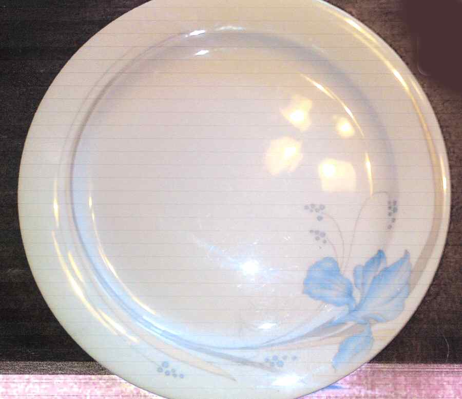 ESC240 Dinner Plate by Eschenbach-1