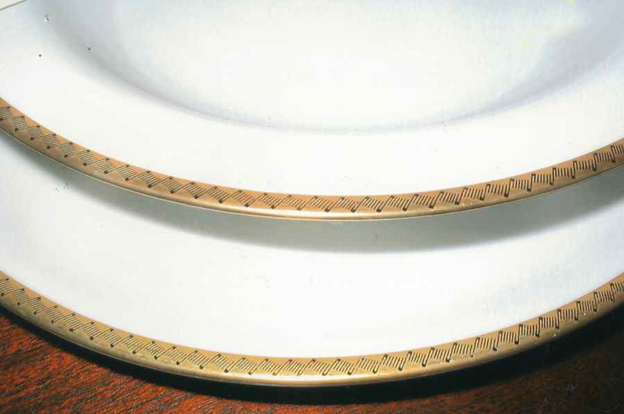 ESC244 Dinner Plate by Eschenbach-1