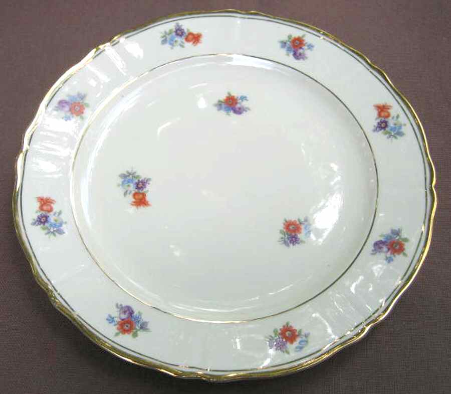 ESC245 Dinner Plate by Eschenbach-1