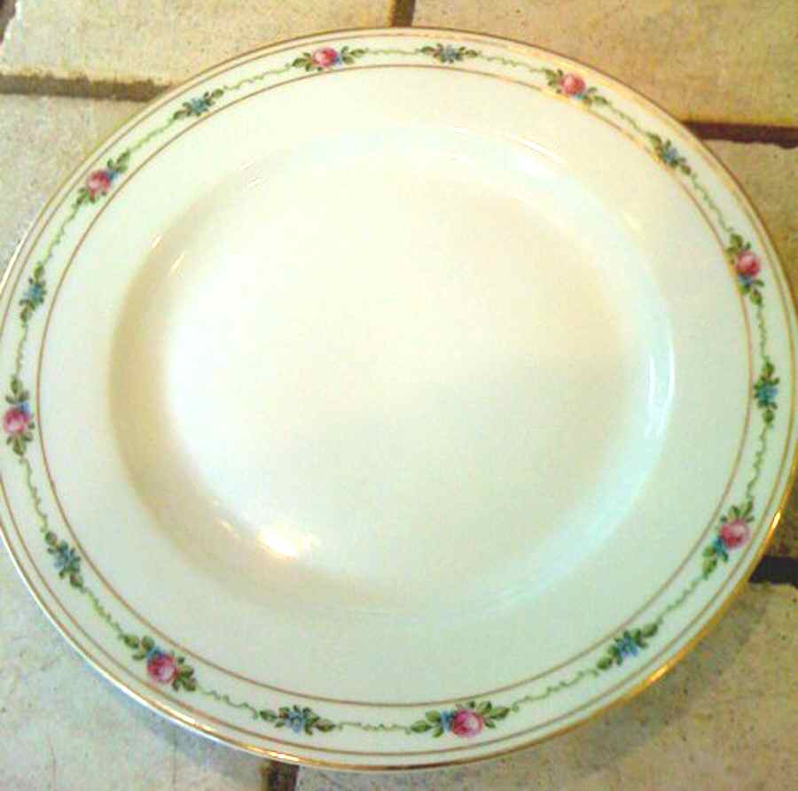 4193 Dinner Plate by E & A Muller-1