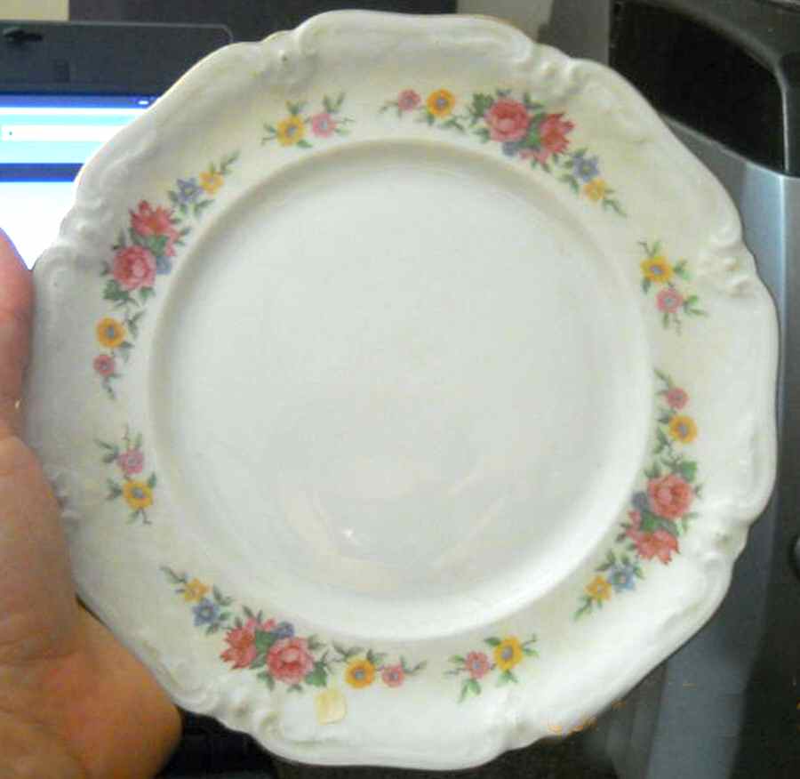 ESC249 Dinner Plate by Eschenbach-1
