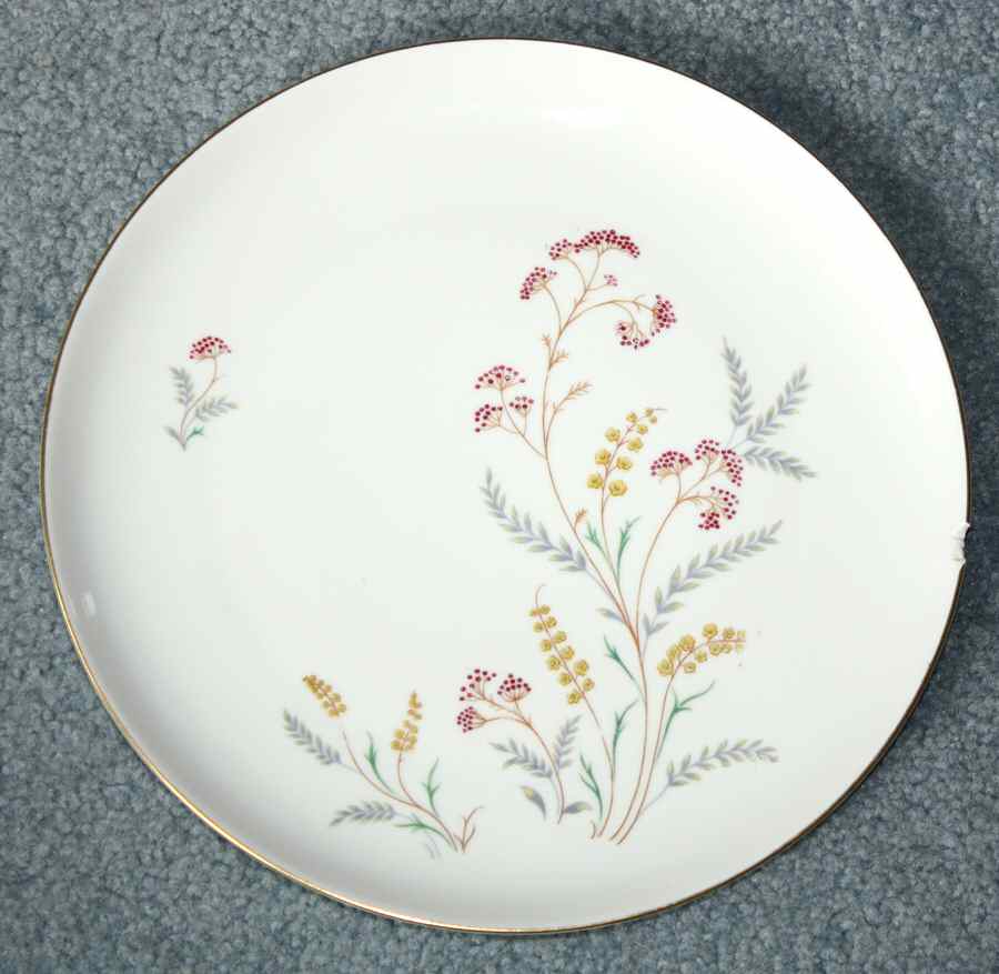 F244 Dinner Plate by Eschenbach-1