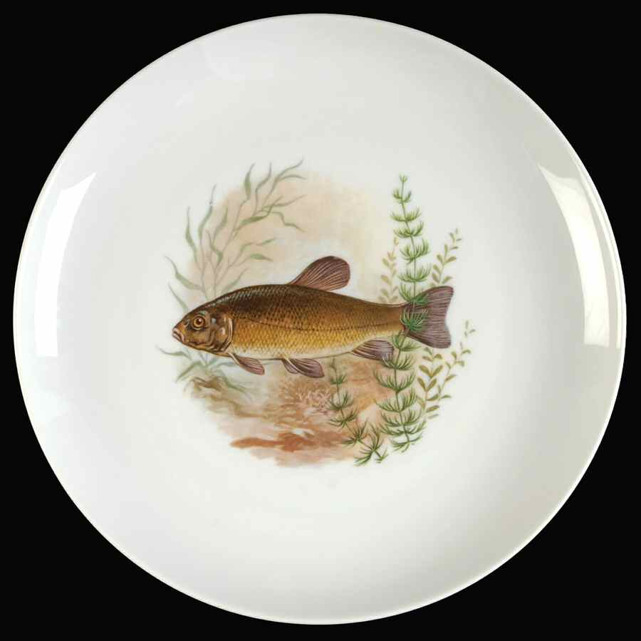 ESC250 Luncheon Plate by Eschenbach-1