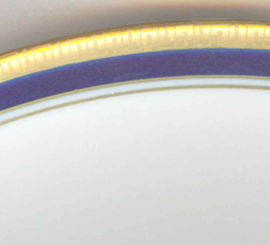 22689 Dinner Plate by Edelstein-1
