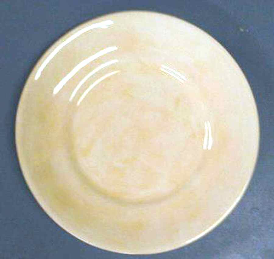 EBA21 Dinner Plate by Eddie Bauer-1