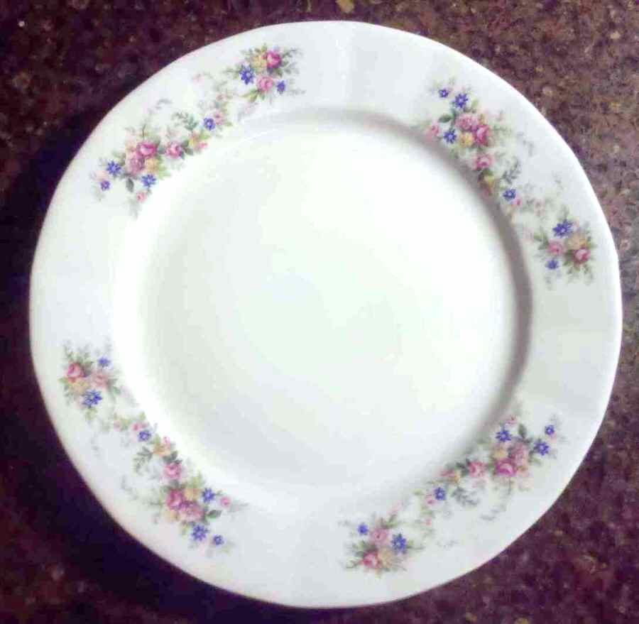 EPI386 Dinner Plate by Epiag-1