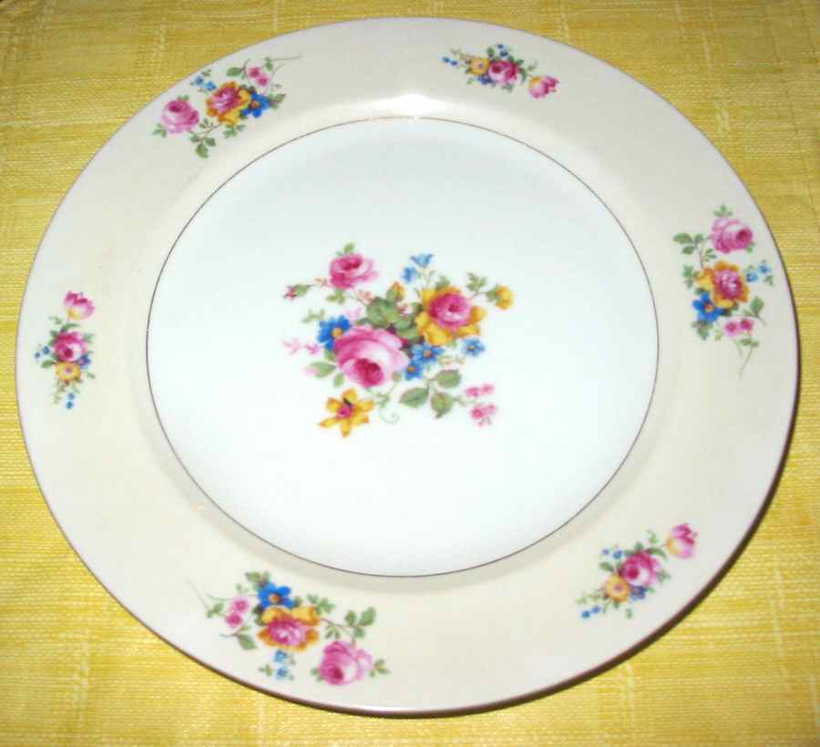 ESC253 Dinner Plate by Eschenbach-1