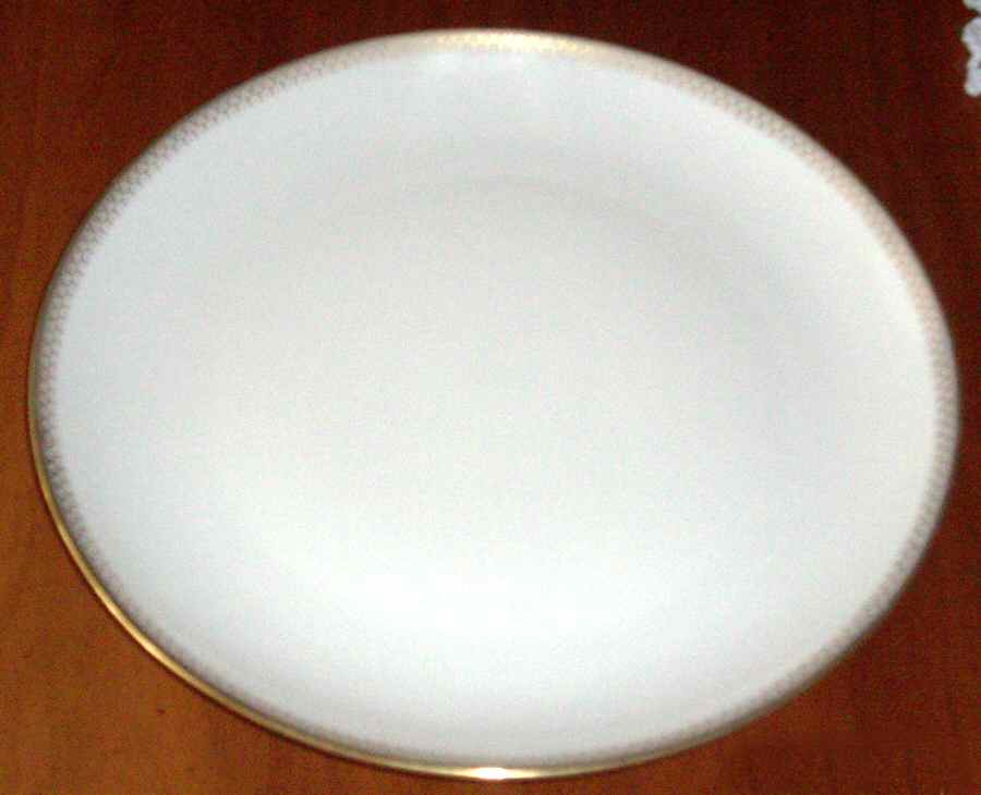 ESC256 Dinner Plate by Eschenbach-1