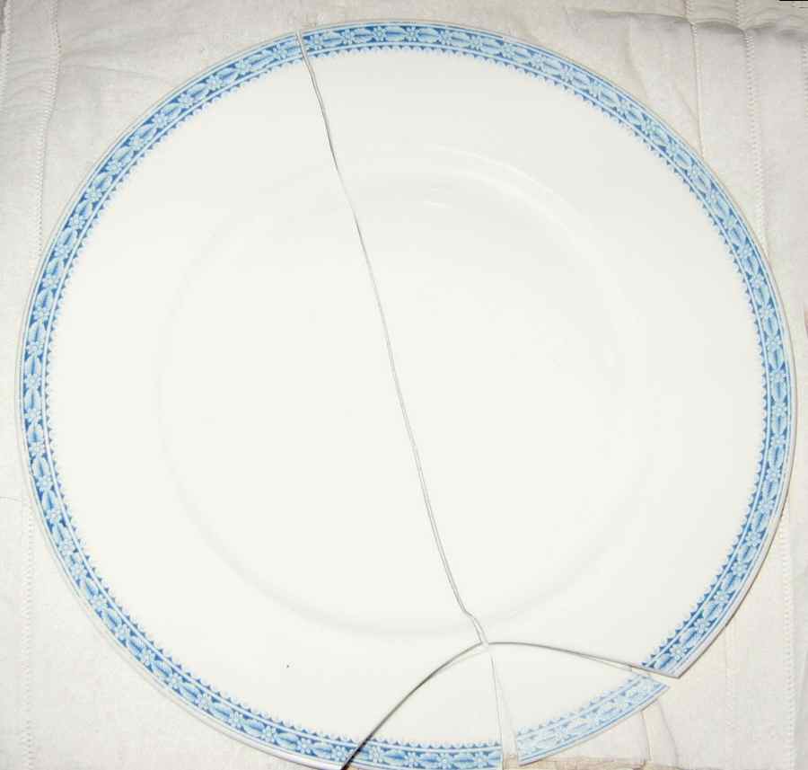 EPI391 Dinner Plate by Epiag-1