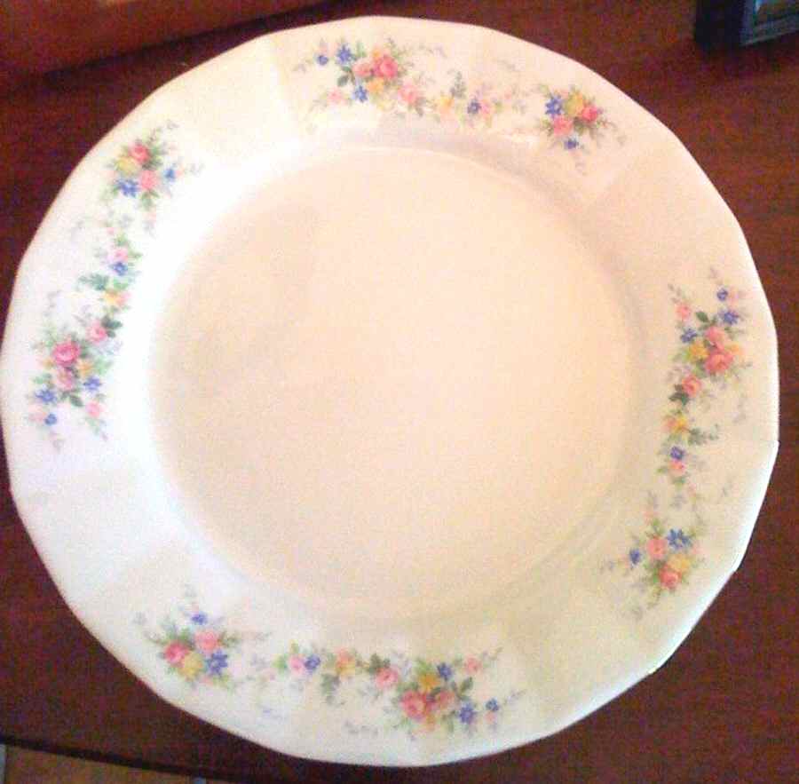 EPI400 Dinner Plate by Epiag-1