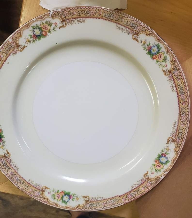 ESO29 Dinner Plate by ESCO (Japan)-1