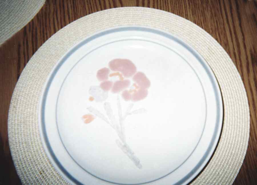 Alpine Mist Dinner Plate by Epoch-1