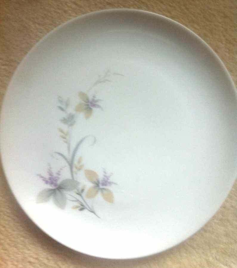 ESC260 Dinner Plate by Eschenbach-1