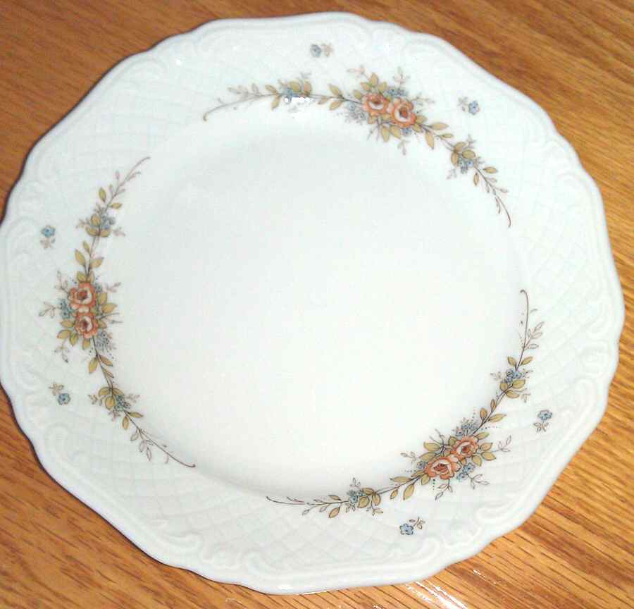 ESC262 Dinner Plate by Eschenbach-1