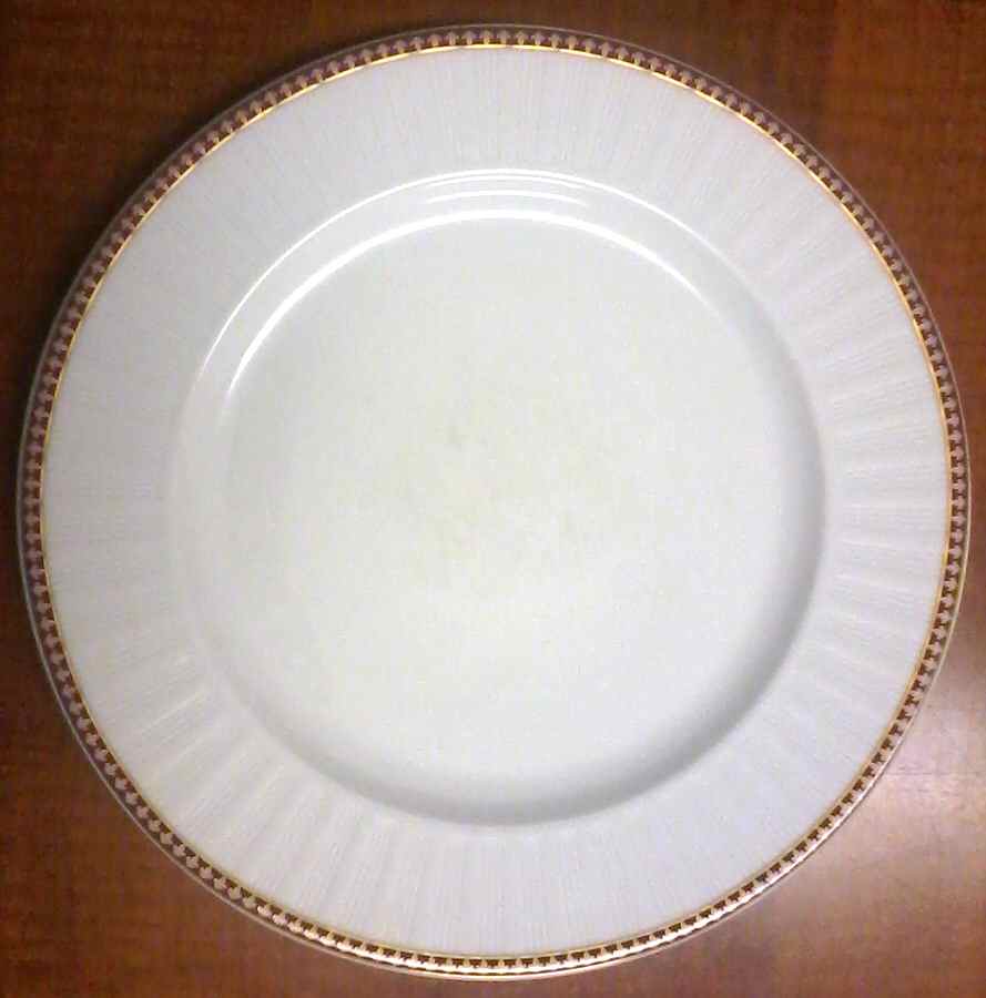 ESC263 Dinner Plate by Eschenbach-1