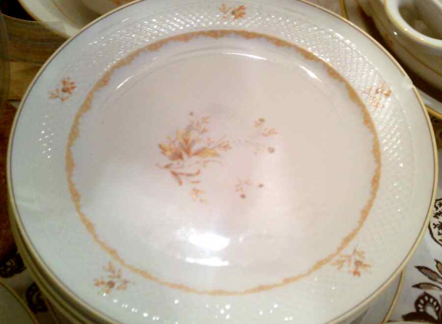 ESC264 Dinner Plate by Eschenbach-1