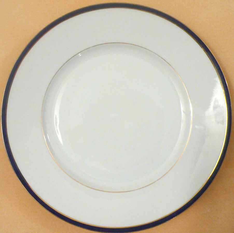 EAM61 Dinner Plate by E & A Muller-1