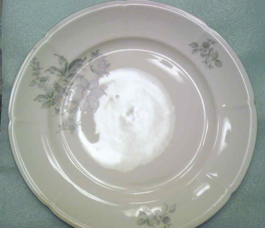 EPI409 Dinner Plate by Epiag-1