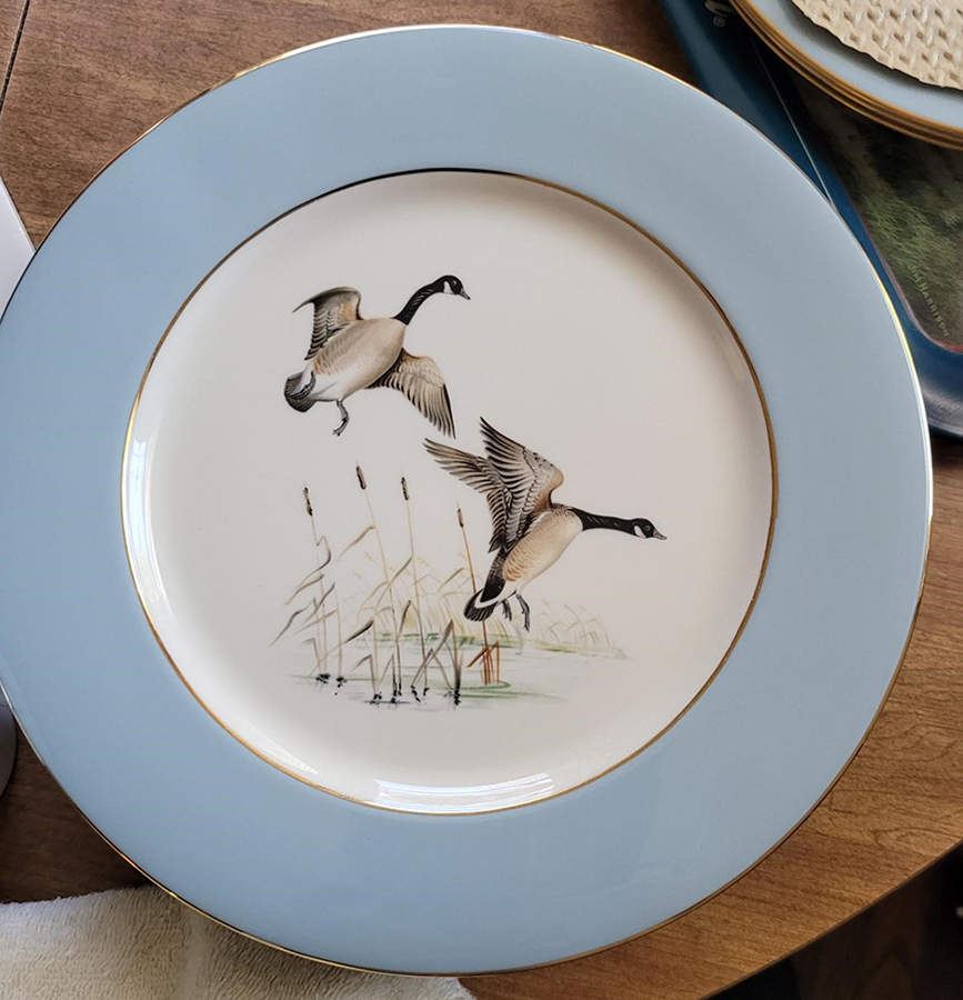 ELH5 Dinner Plate by Eliot-1