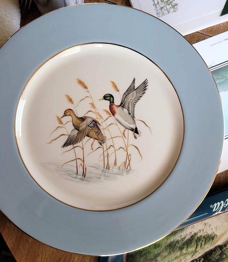 ELH5 Dinner Plate by Eliot-1