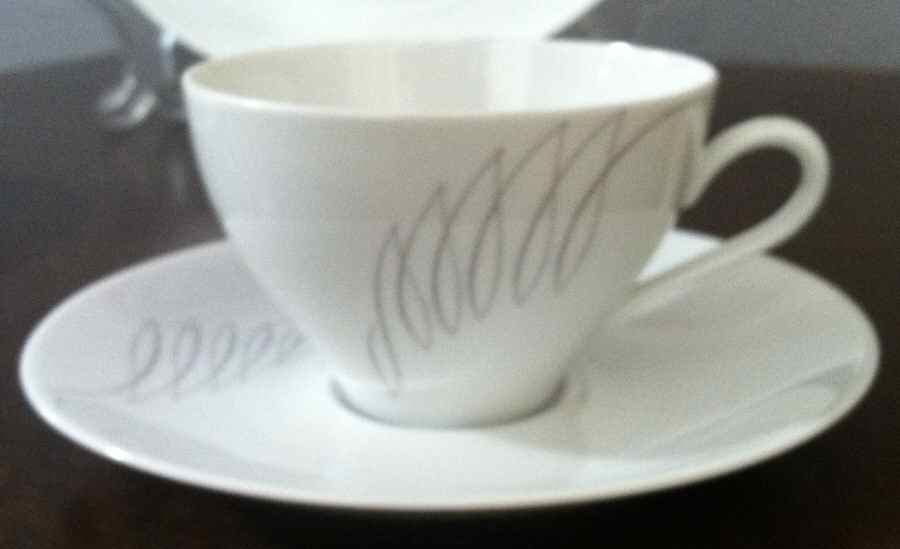 ESC268 Flat Cup & Saucer Set by Eschenbach-1