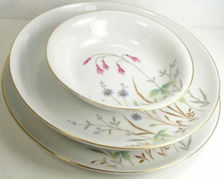 W1456 Dinner Plate by Eschenbach-1