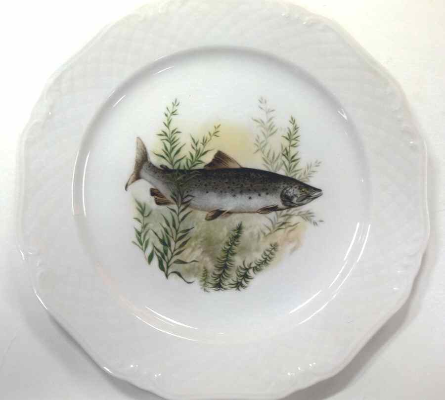 ESC272 Dinner Plate by Eschenbach-1