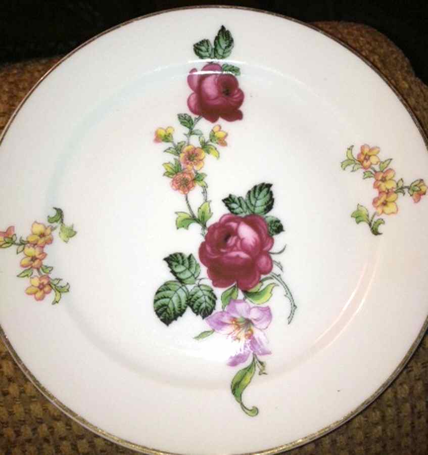 EPI415 Dinner Plate by Epiag-1