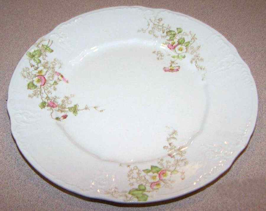 EPP11 Dinner Plate by East Palestine-1