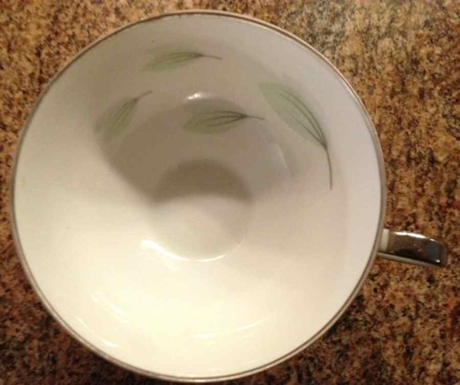 18667 Flat Cup by Edelstein-1