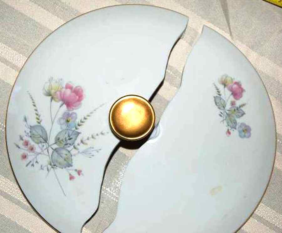 19632 Lid for Round Vegetable by Edelstein-1