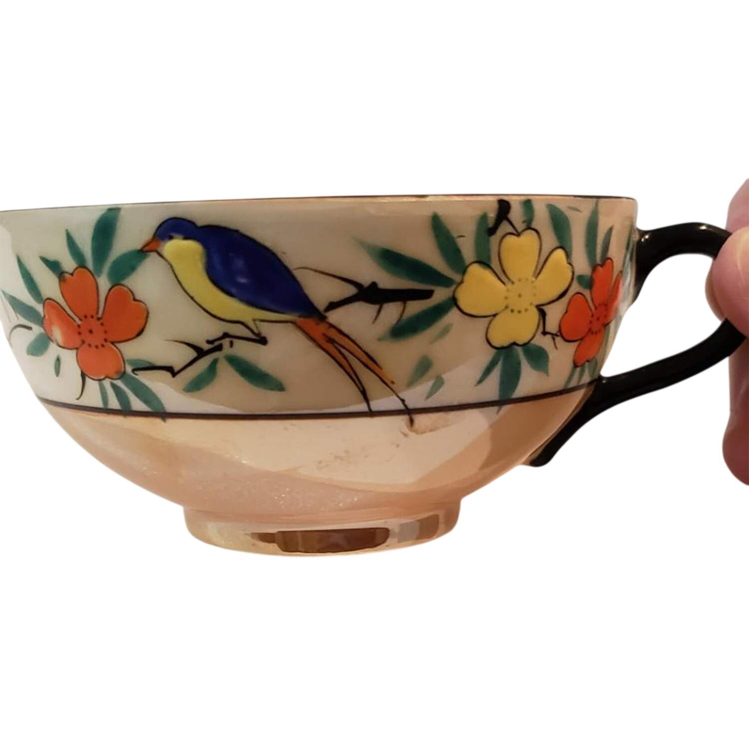 EBJ7 Footed Cup by Elite B Japan-Nippon-1