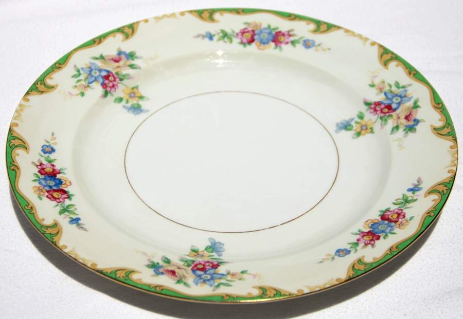 ESC285 Dinner Plate by Eschenbach-1