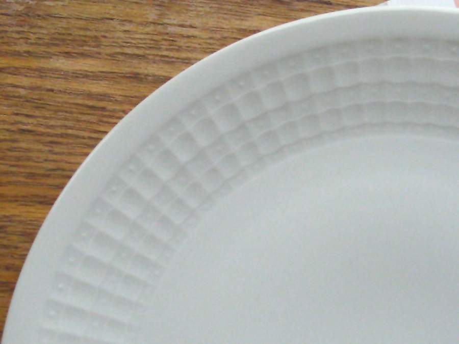 ESC286 Dinner Plate by Eschenbach-1