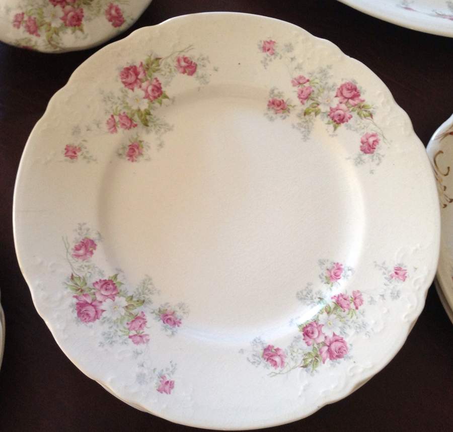 EPP12 Dinner Plate by East Palestine-1
