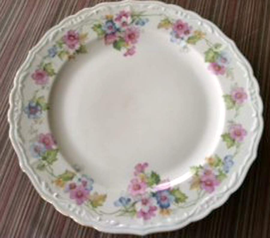 ESC288 Dinner Plate by Eschenbach-1