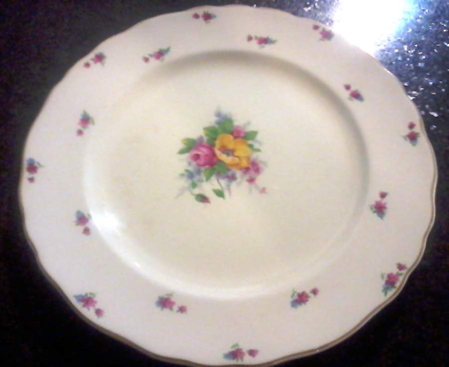 IPE24 Dinner Plate by Imperial (England)-1