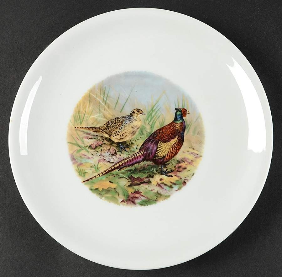 ESC290 Dinner Plate by Eschenbach-1