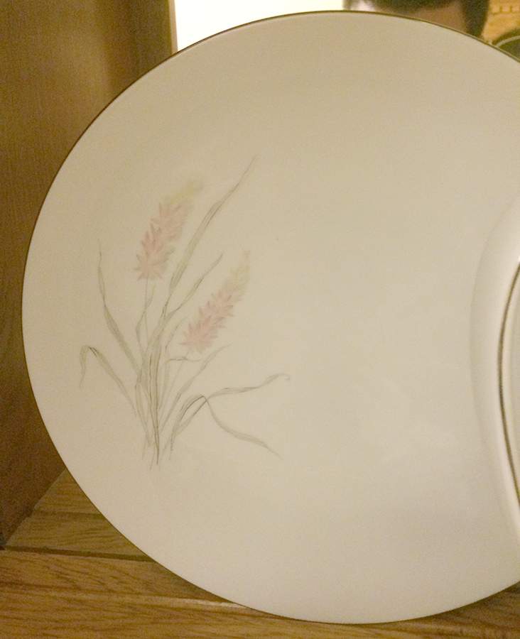ERK6 Dinner Plate by Erika Porzellan-1