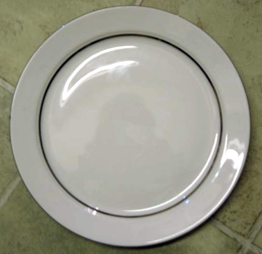 ESC295 Dinner Plate by Eschenbach-1