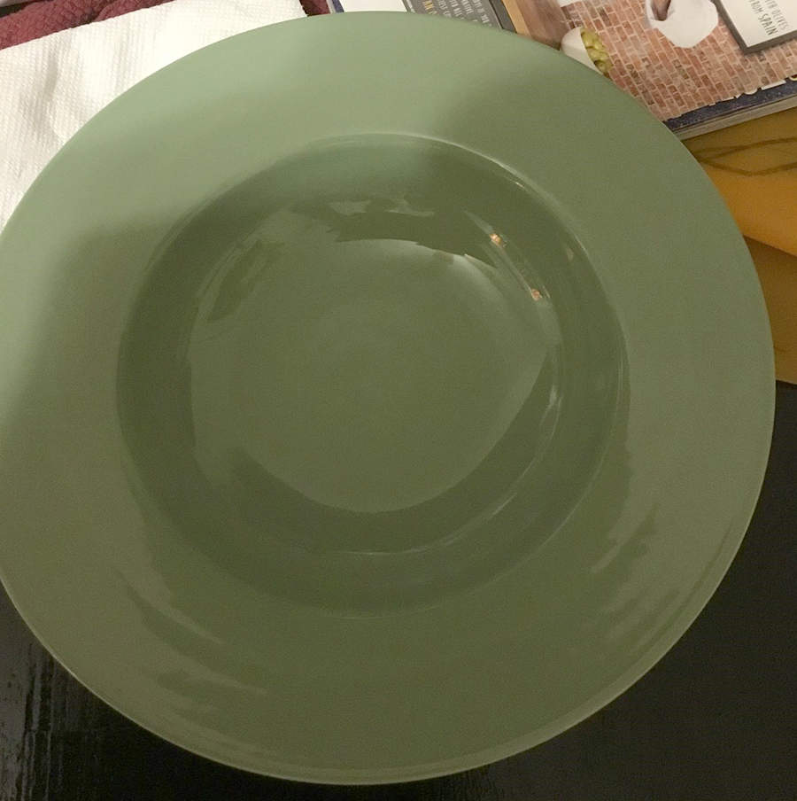 Safari Green 11" Individual Pasta Bowl by Euro Ceramica-1