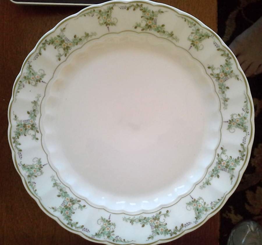 ESC298 Dinner Plate by Eschenbach-1