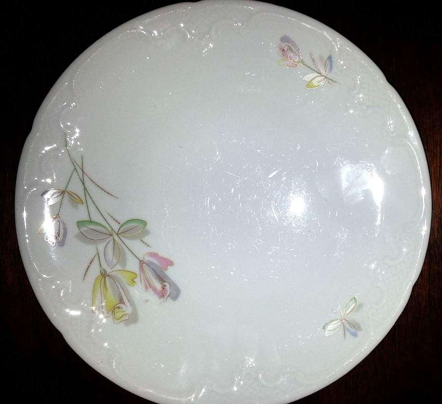 ESC302 Dinner Plate by Eschenbach-1