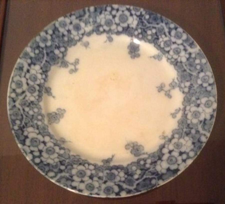 Hawthorn Dinner Plate by Frank Beardmore-1